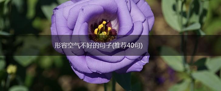 形容空气不好的句子(推荐40句),第1张