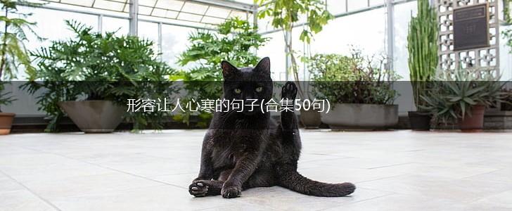 形容让人心寒的句子(合集50句),第1张