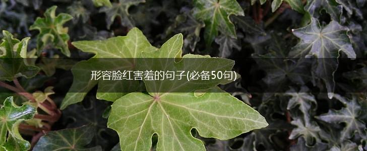 形容脸红害羞的句子(必备50句),第1张