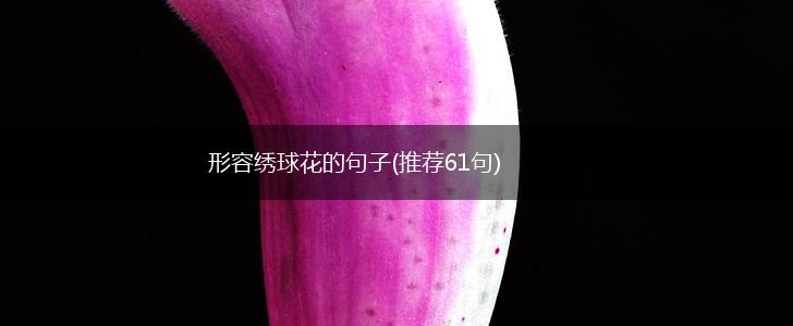 形容绣球花的句子(推荐61句),第1张