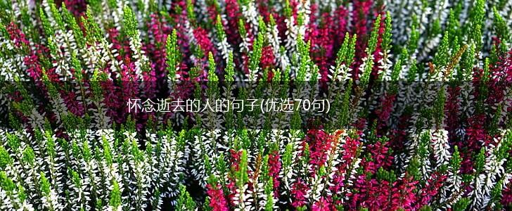 怀念逝去的人的句子(优选70句),第1张