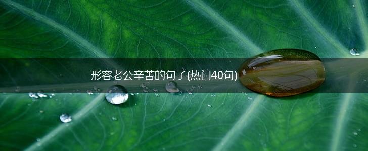 形容老公辛苦的句子(热门40句),第1张