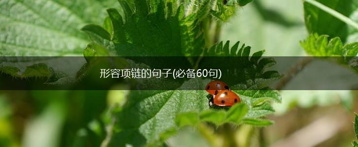 形容项链的句子(必备60句),第1张