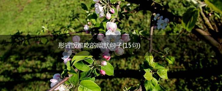 形容饭难吃的幽默句子(15句),第1张