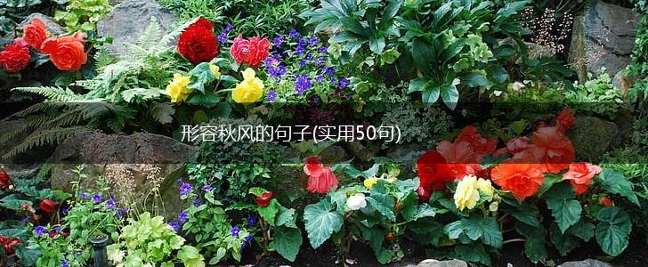 形容秋风的句子(实用50句),第1张