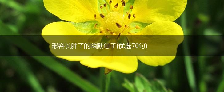 形容长胖了的幽默句子(优选70句),第1张