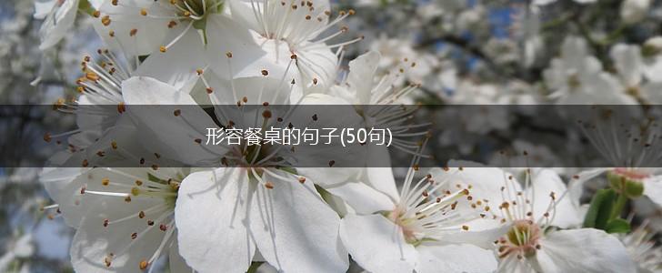 形容餐桌的句子(50句),第1张
