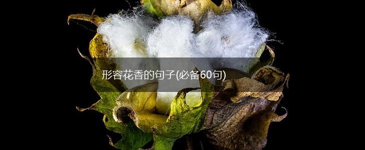 形容花香的句子(必备60句),第1张