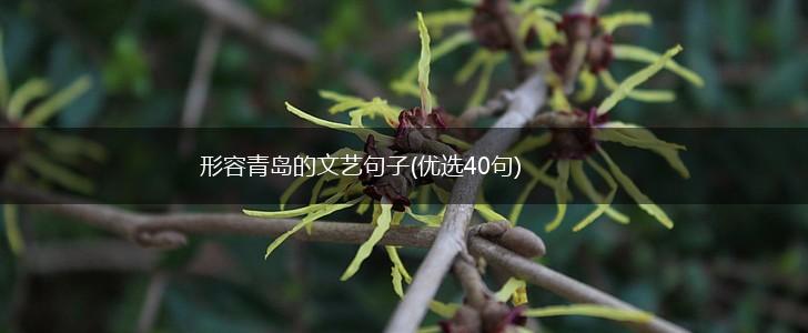 形容青岛的文艺句子(优选40句),第1张
