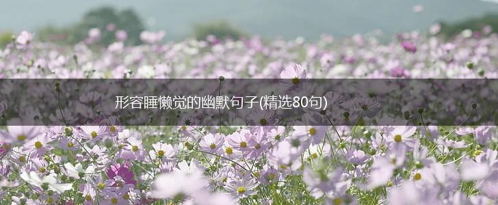 形容睡懒觉的幽默句子(精选80句),第1张