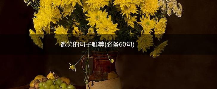 微笑的句子唯美(必备60句),第1张