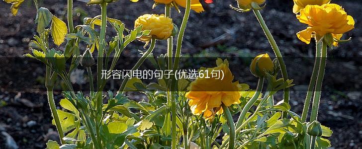形容闪电的句子(优选61句),第1张