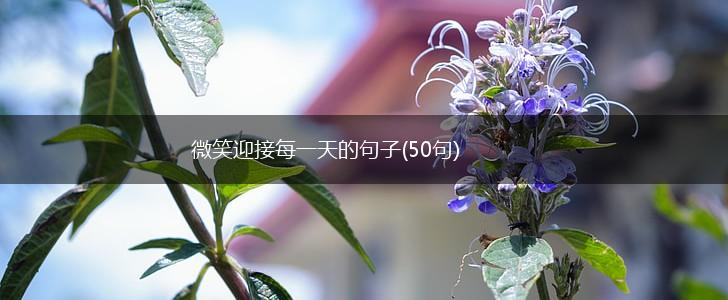 微笑迎接每一天的句子(50句),第1张