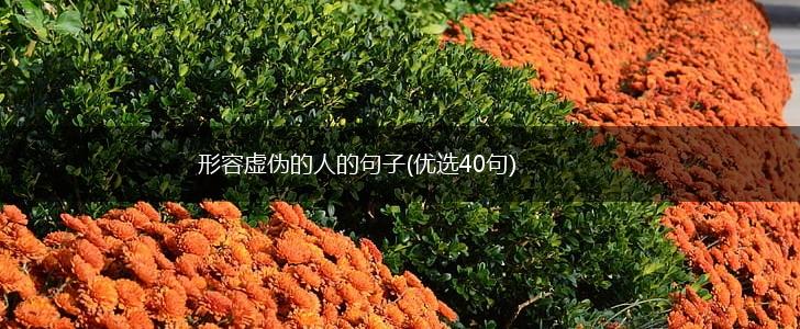 形容虚伪的人的句子(优选40句),第1张