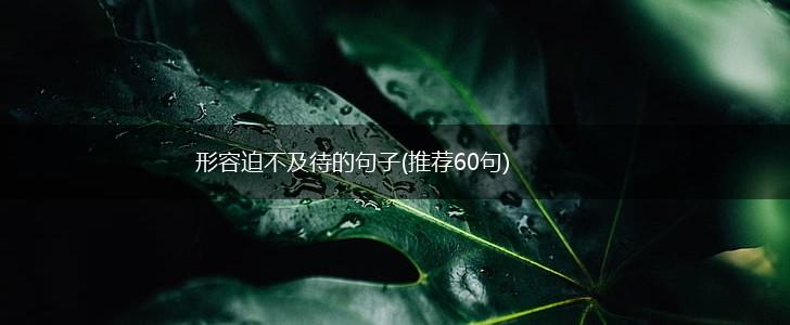 形容迫不及待的句子(推荐60句),第1张