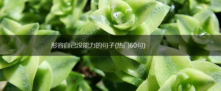 形容自己没能力的句子(热门60句),第1张
