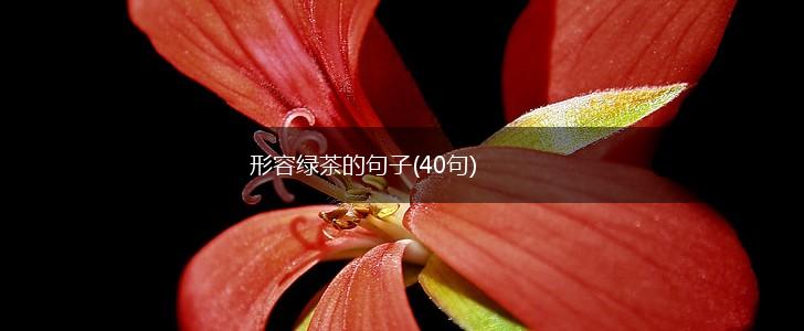 形容绿茶的句子(40句),第1张