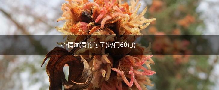 心情崩溃的句子(热门60句),第1张