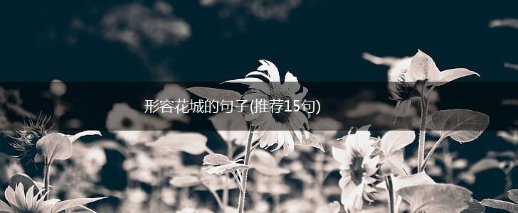 形容花城的句子(推荐15句),第1张
