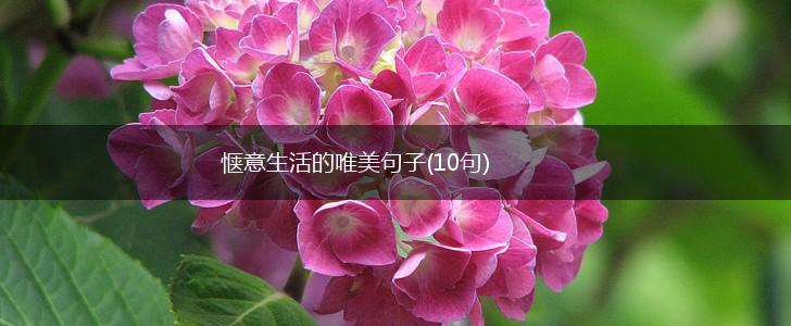 惬意生活的唯美句子(10句),第1张