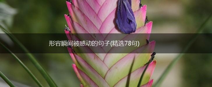 形容瞬间被感动的句子(精选78句),第1张