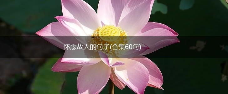 怀念故人的句子(合集60句),第1张