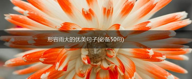 形容雨大的优美句子(必备50句),第1张