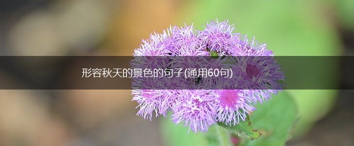形容秋天的景色的句子(通用60句),第1张