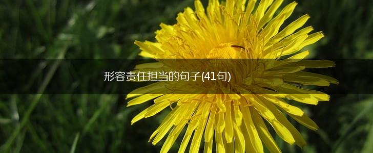 形容责任担当的句子(41句),第1张