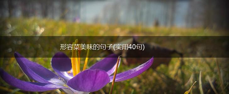 形容菜美味的句子(实用40句),第1张