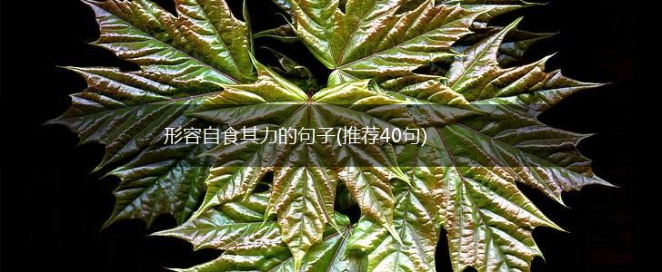 形容自食其力的句子(推荐40句),第1张