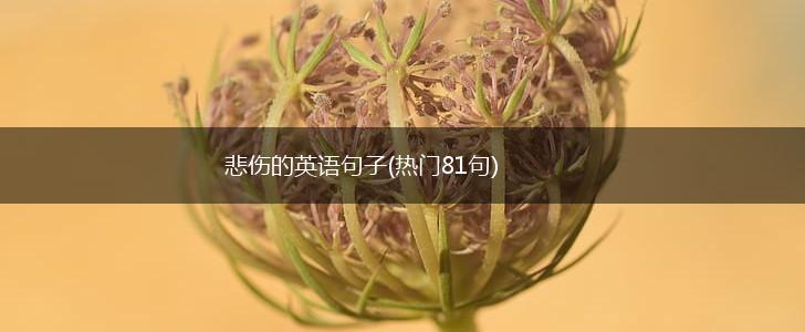 悲伤的英语句子(热门81句),第1张