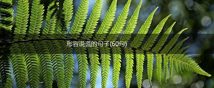 形容说谎的句子(60句),第1张