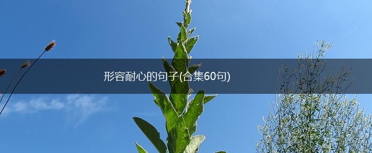 形容耐心的句子(合集60句),第1张