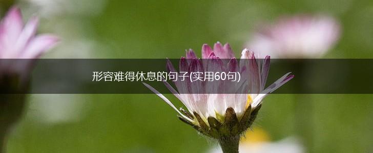 形容难得休息的句子(实用60句),第1张