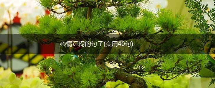 心情沉闷的句子(实用40句),第1张