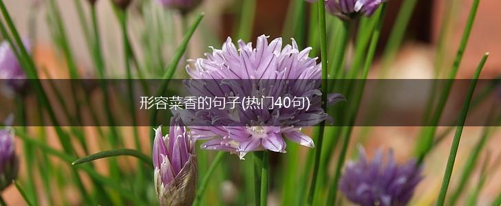形容菜香的句子(热门40句),第1张
