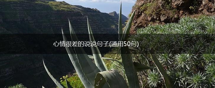 心情很差的说说句子(通用50句),第1张