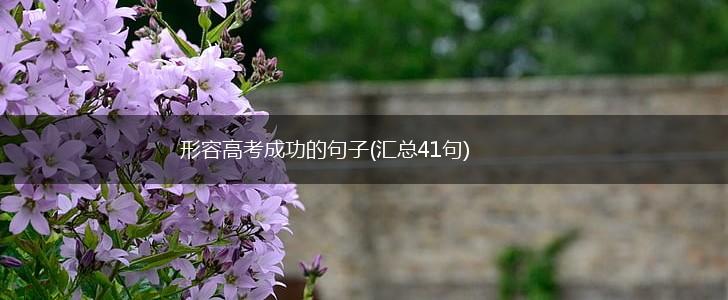 形容高考成功的句子(汇总41句),第1张