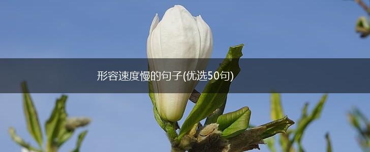 形容速度慢的句子(优选50句),第1张