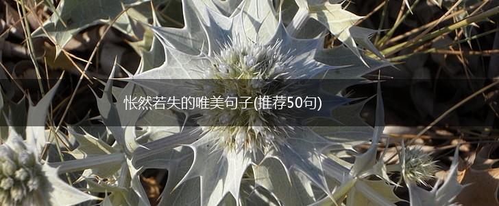 怅然若失的唯美句子(推荐50句),第1张