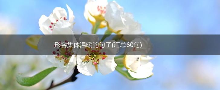 形容集体温暖的句子(汇总60句),第1张