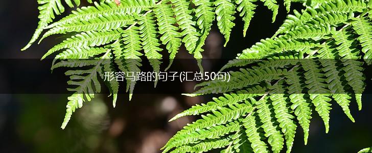 形容马路的句子(汇总50句),第1张