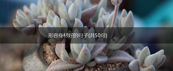 形容身材好的句子(共50句),第1张
