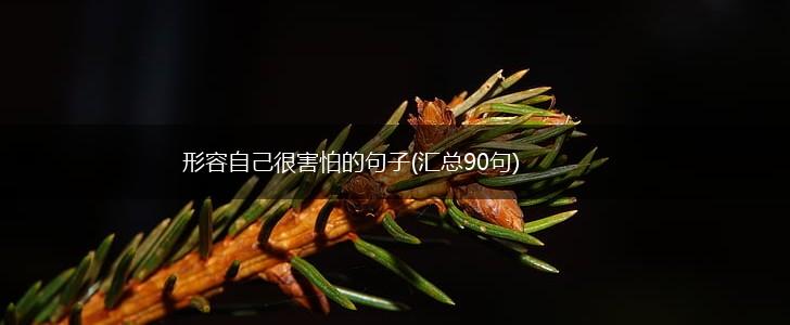 形容自己很害怕的句子(汇总90句),第1张