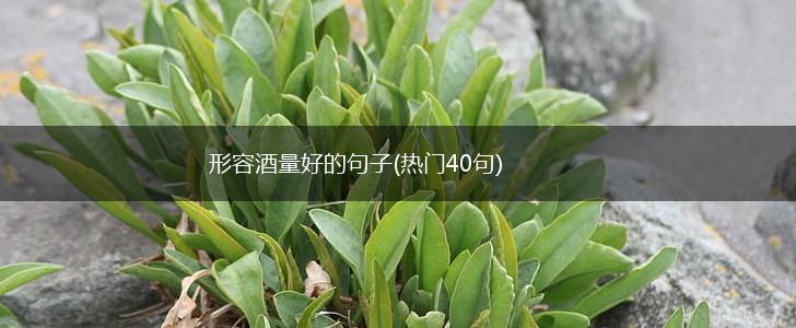 形容酒量好的句子(热门40句),第1张
