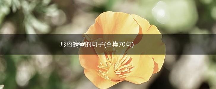 形容螃蟹的句子(合集70句),第1张