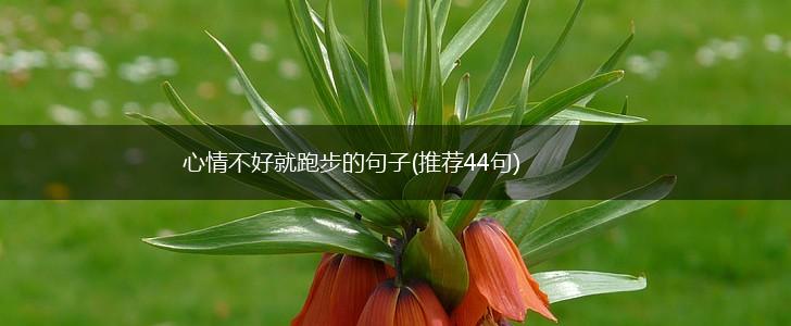 心情不好就跑步的句子(推荐44句),第1张