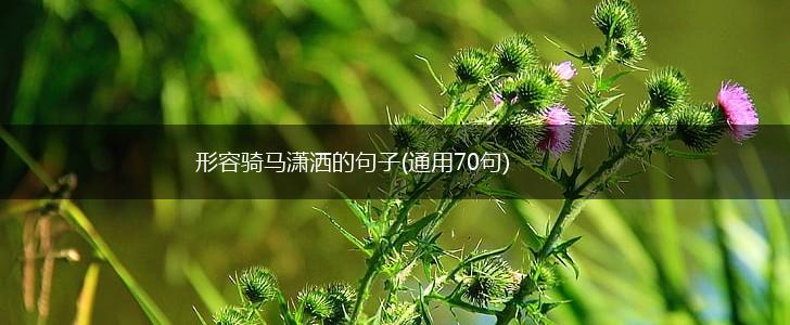 形容骑马潇洒的句子(通用70句),第1张
