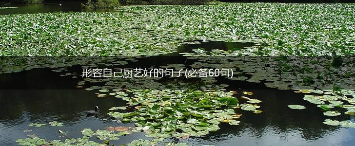 形容自己厨艺好的句子(必备60句),第1张